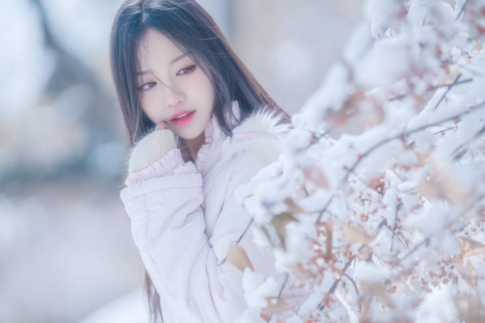 Shika小鹿鹿雪景